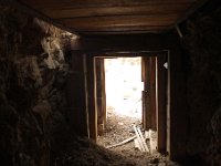 Simon Jan 2015 039 : Simon Jan 2015